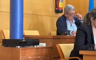 Vox se queda con un solo concejal en Torrelodones